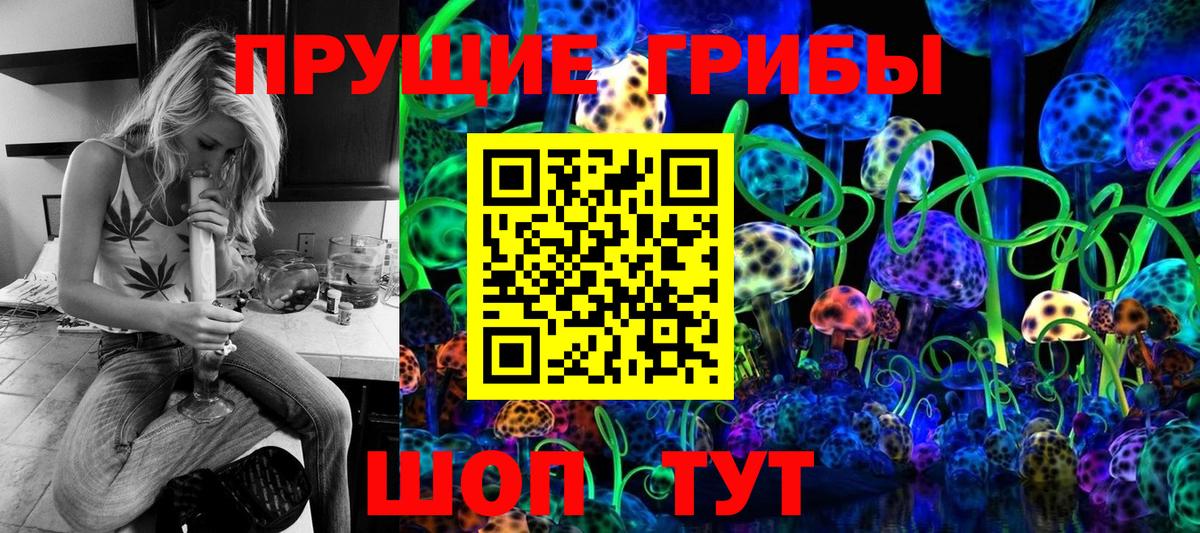 Псилоцибиновые грибы прущие грибы Павловский Посад